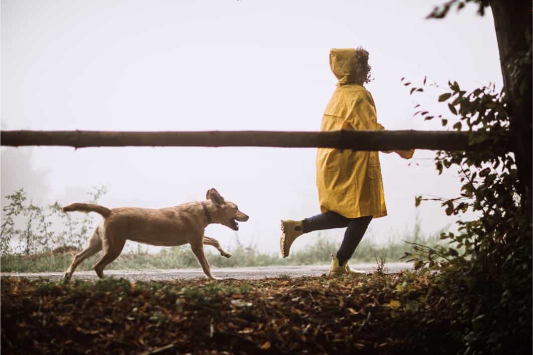 dog following owner in the rain.