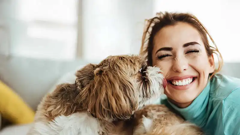 Dog licking a woman's face