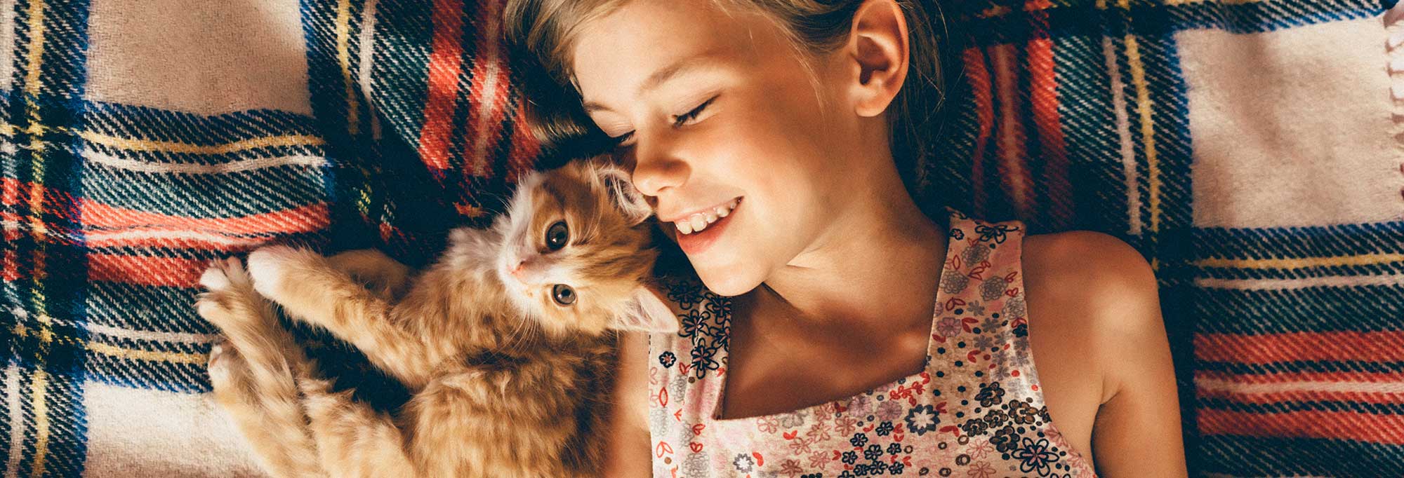 A kitten with their human