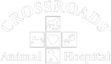 Crossroads Animal Hospital Logo
